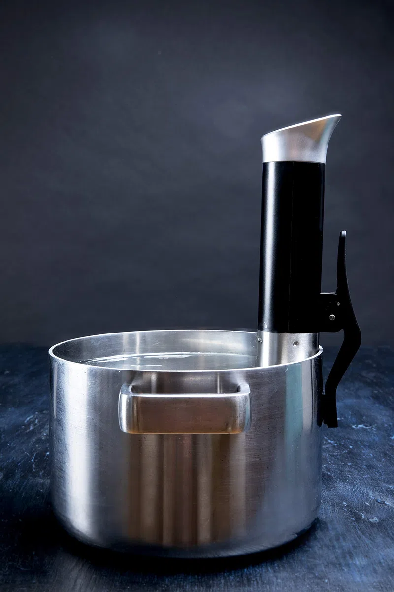 Gastronoma 18310009 WIFI Sous Vide Stick Garer, APP en alemán, 1000 W, diseño de acero inoxidable